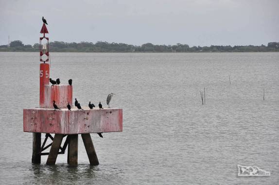 Saindo de Rio Grande de balsa, a caminho de São José do Norte, no sul do Rio Grande do Sul